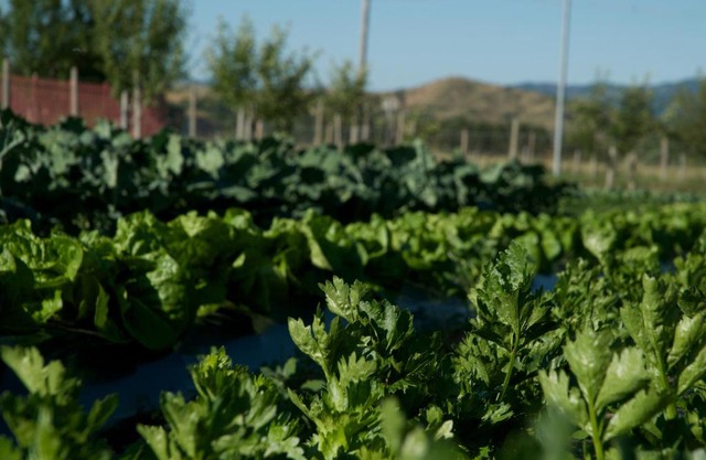 Agriturismo Fiorella