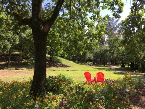 Amitabha Wine Country Cottage