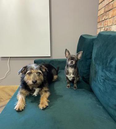 Apartament Rose Valley Dwa Zero