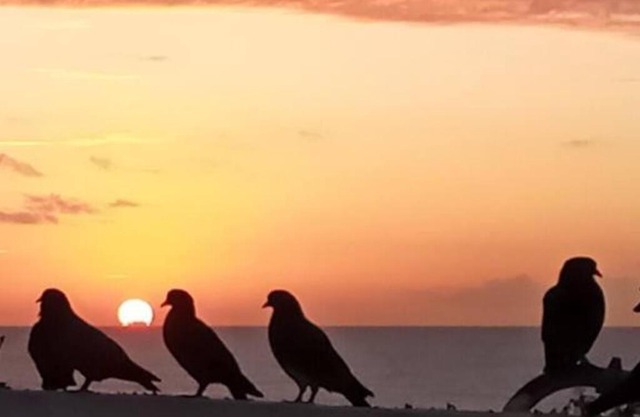 Apartament with terrace and sea view