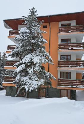 Apartmán Pálenica II