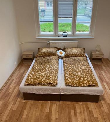 Apartmán ve městě Ostrov pro 3 osoby