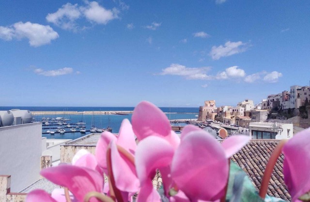 Apartment with Terrace with wonderful view of the gulf and the Castle