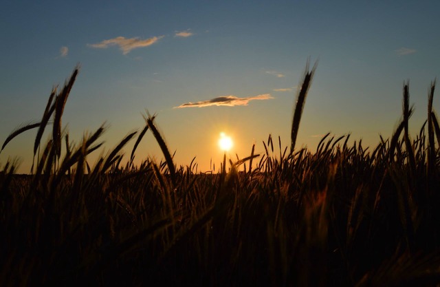 Apartment in the Hohen Fläming