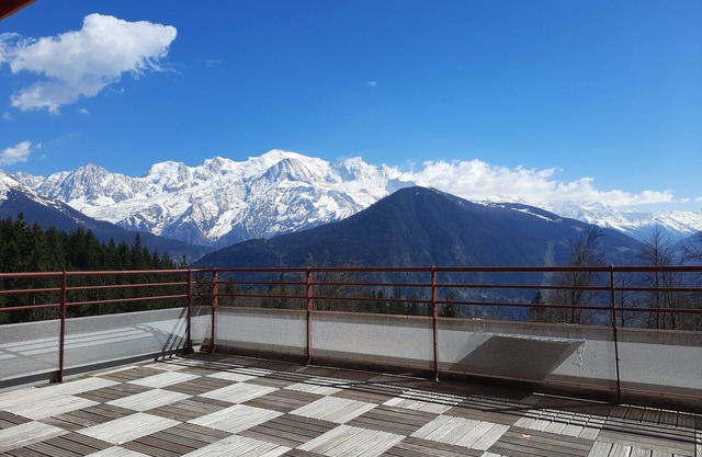 Apartment Mont-Blanc view