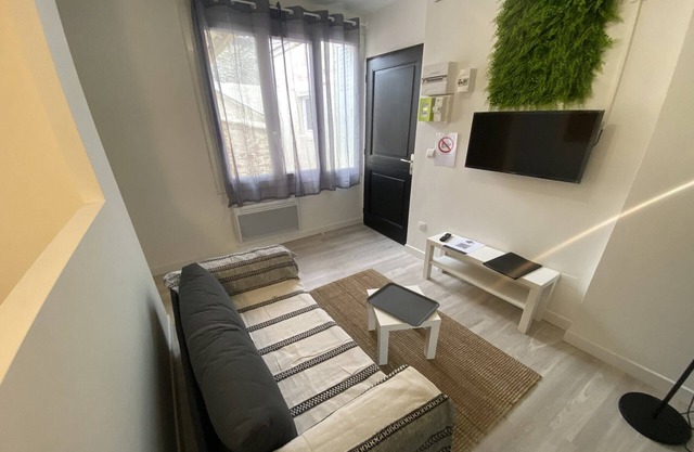 Apartment on the left bank of Toulouse