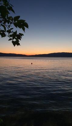 Apartments Villa Boris