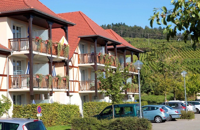 Appart Cosy le Long de la Route des Vins d'Alsace