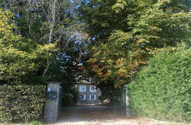 Au regard des biches