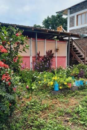 Bananas Guest House Private Room