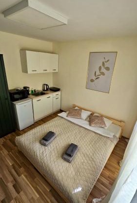 Batorego16 Yellow Studio