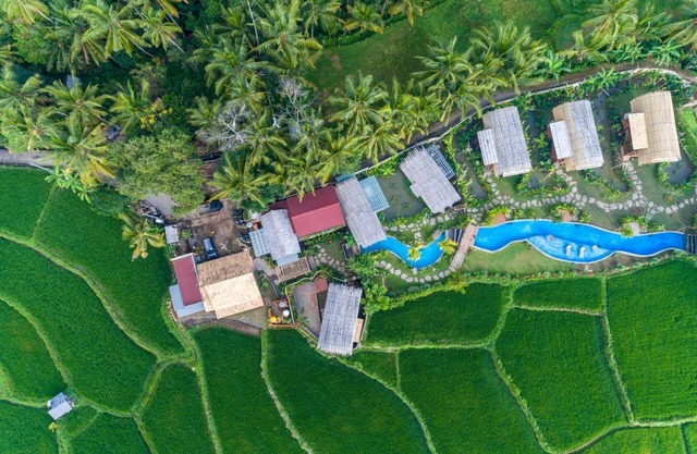 Beautiful Open Living with Bee House