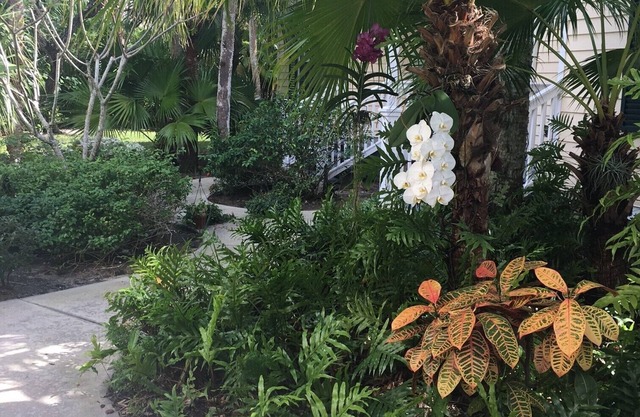 Beautiful Sea Oaks Cottage - Tennis, Private Beach Access, Marina, Pool, Club