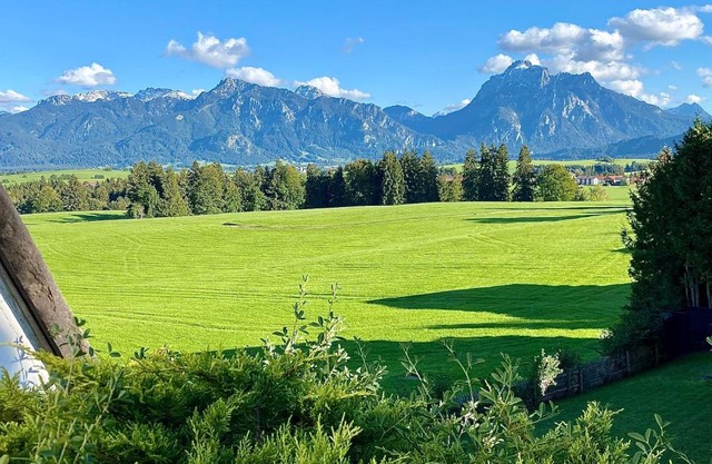 Best Butler * Bohemian Spirit In the Alps * Netflix