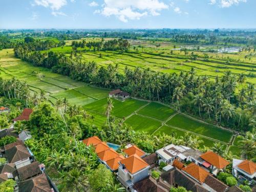 Bhargava Prana House