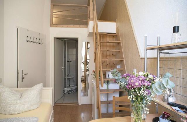 Budget single room, Ap. 13, 14 - Apartments am Schloßpark