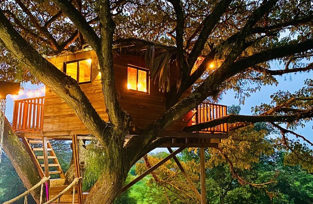 Cabaña en un árbol en Santa Elena