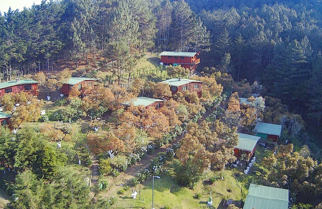 Cabañas Alla Arriba