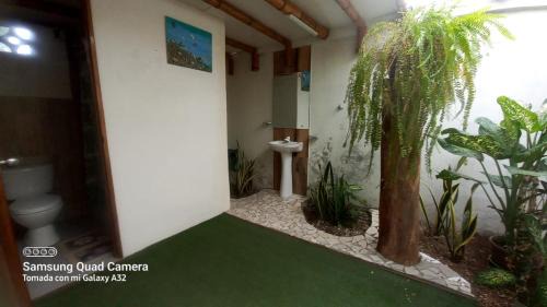 Cabañas Riviera Pacific