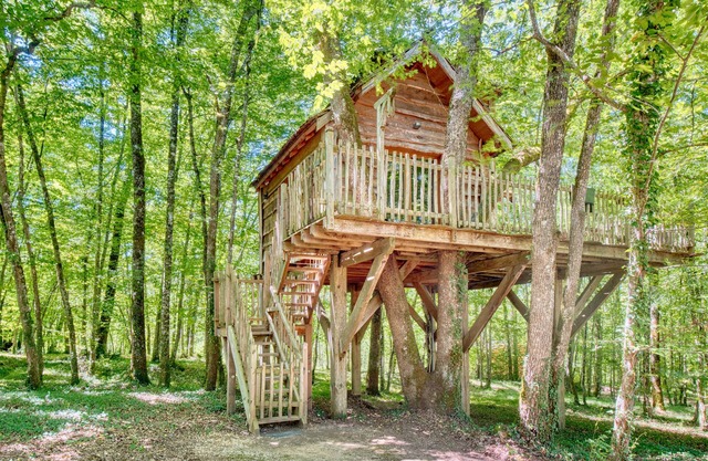 Cabane Amicie in the Trees – Retreat in Nature with Shared Heated Indoor Pool
