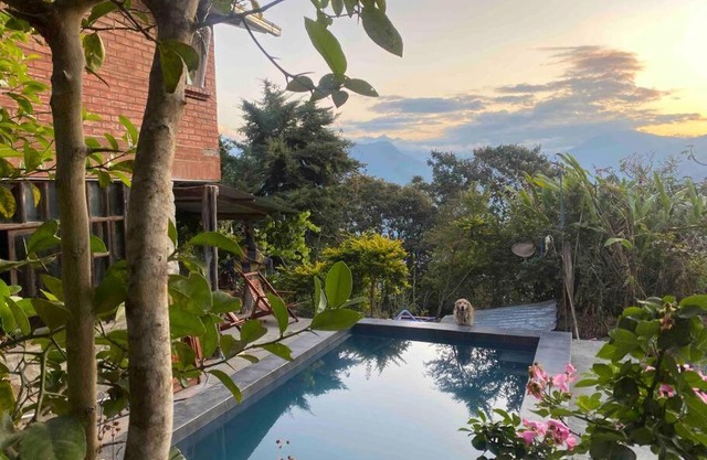 Café Tinto Cabaña Rústica