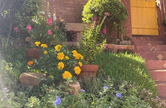 Casa da Artista no Coração de Joaquim Egídio