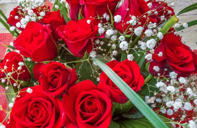 Casa Rosas Quintiães