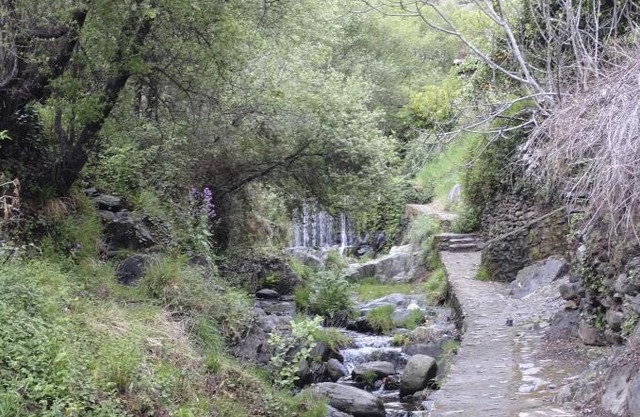 Casa Rural La Ortiga