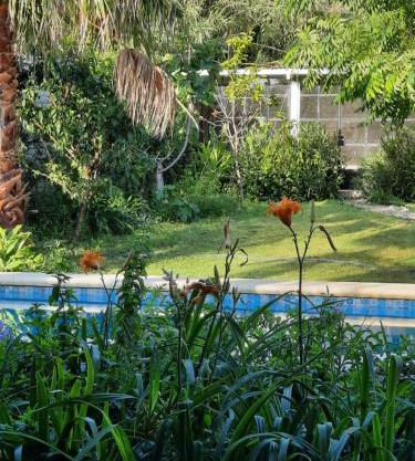 Casa Sustentable Mint Fields