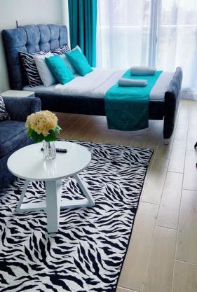 Caster studio apartment jkia