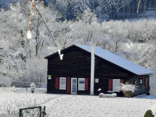 Chalet familial avec grand jardin et équipements pour enfants, à 500m du centre de Ban-sur-Meurthe - FR-1-589-33