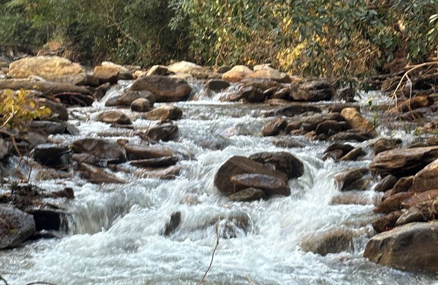 Charming 2-bedroom cabin on babbling brook in delightful Hendersonville with AC