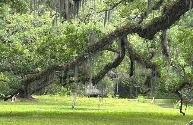Charming 2-bedroom cottage on the bayou Teche in Jeanerette with AC, WiFi
