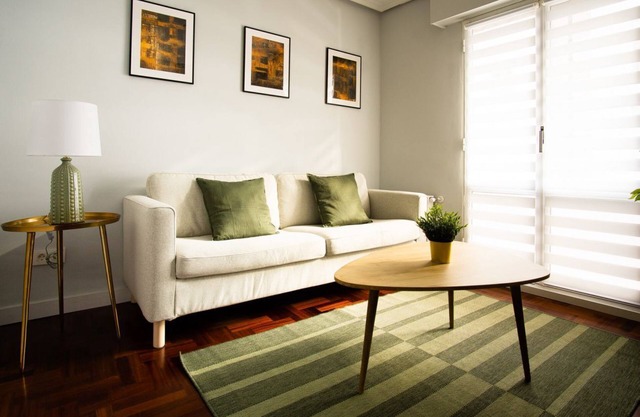 Charming Apartment with Wifi in Sestao