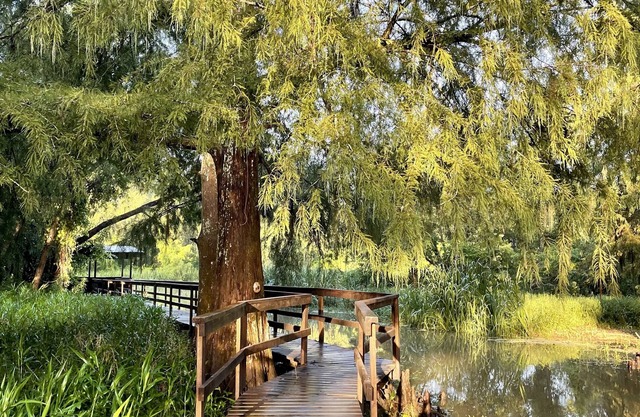 Charming cabin on Lower Grand River — Bayou Pigeon, Louisiana