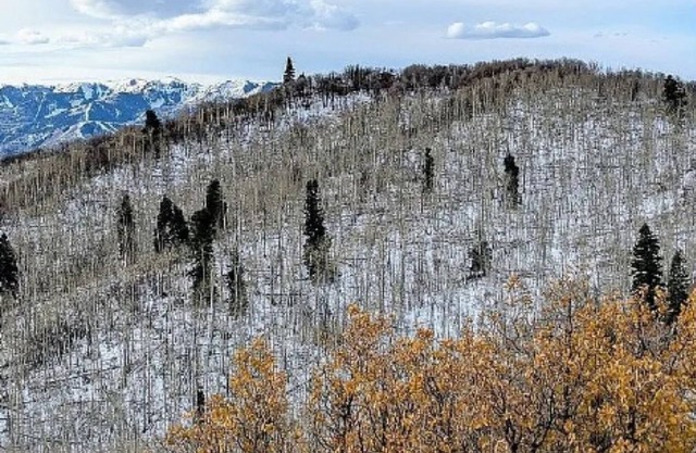 Charming campground with tent in Park City for a cozy getaway