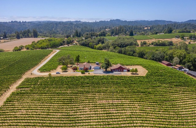 Charming Farm House In The Vineyards On Over 12 Acres