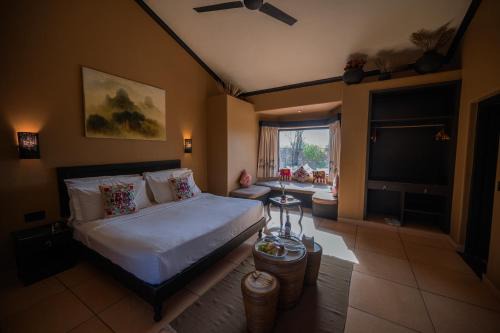 Clarks Safari Pushkar