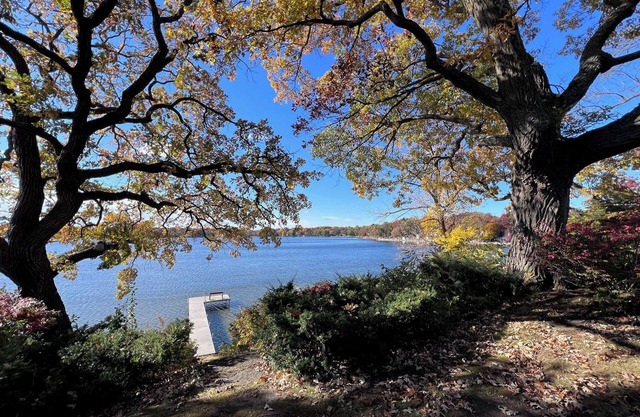 Comfortable Cabin ON Lake and 20 minutes to Ski Hill and Walk to Beach!