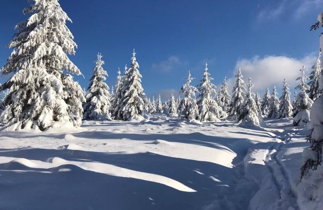 Cosy chalet located in Vosges