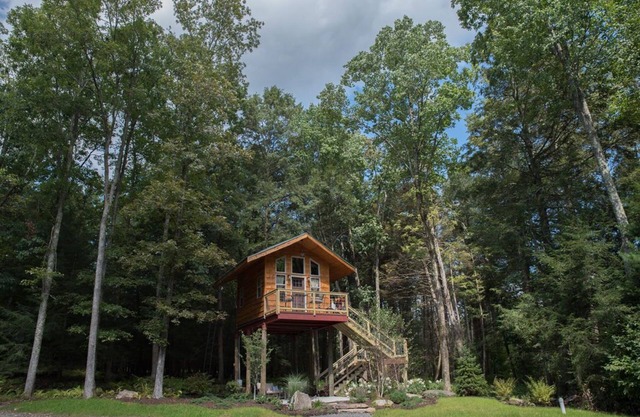 Cottage in the Woods B&B - Owl's Nest - Treehouse -2mi. from falls trailhead