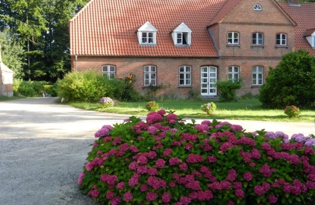 Cozy 1-room plane tree apartment