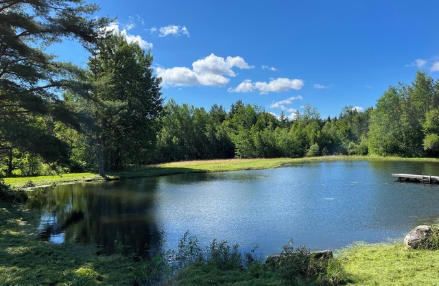 Cozy apt in beautiful secluded spot 15 mins from Mt Snow