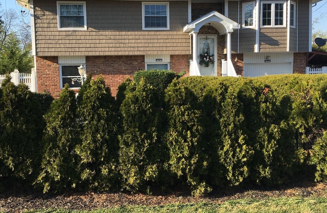 Cozy Nesting Getaway