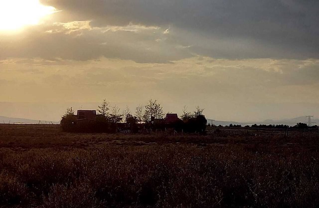 Cozy Rustic Cottages with views of Mt. Lonogonot, Naivasha, Kenya