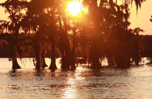 Cozy waterfront studio apartment with a covered deck on Bayou Pierre Part.