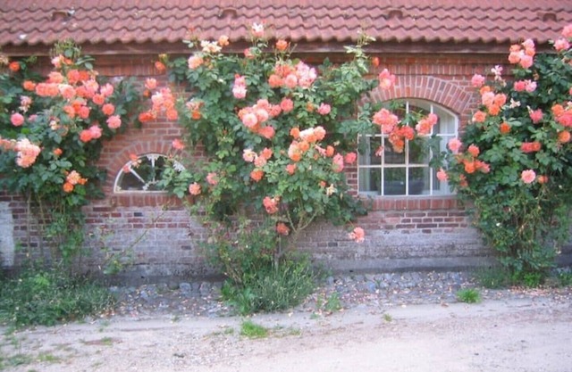 Cozy wheelwright's house on the Hohenstein estate