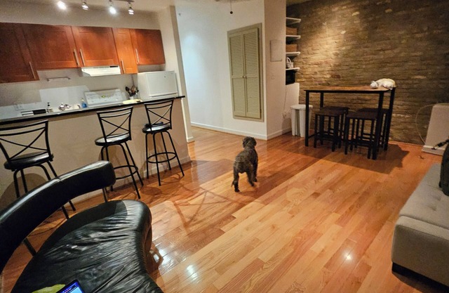 DC Playhouse Charming 2-bedroom bed & breakfast in lovely Georgetown Washington