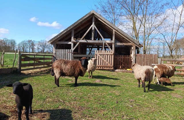Urlaub mit Feldblick