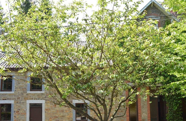 Delightful Holiday Home in La Rouge Minière with Meadow View